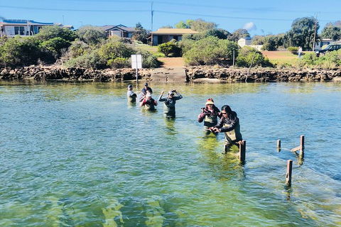 Oyster Farm And Tasting Tour With Hotel Pick-up And Return From Port Lincoln - Hotel VIC 6