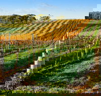 Victor Harbor with McLaren Vale Wine Region Tour from Adelaide - Hotel VIC