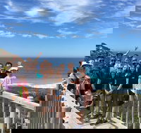 2 Day Kangaroo Island Wildlife Adventure from Adelaide - Hotel VIC