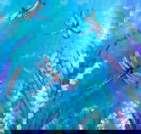 Good Luck Dragonfly - Duke of Brunswick Hotel 1.30-3.30pm - Hotel VIC