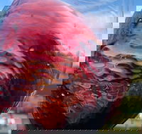 Barossa Wine Tour - Hotel VIC