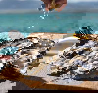 Experience Coffin Bay Short and Sweet Oyster Farm Tour - Hotel VIC
