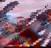 2-Day Exclusive Adelaide Bird and Dolphin Sanctuary Glamping tour - Hotel VIC