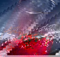 McLaren Vale's Greatest tour with the Best Itinerary - Hotel VIC