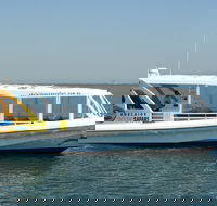 Adelaide Ocean Safari - Wild Dolphin Safari - Hotel VIC