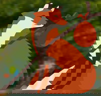 Hahndorf Adventure - Hotel VIC