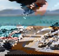 Experience Coffin Bay Oyster Farm and Bay Tour - Hotel VIC