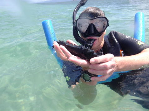 Great Barrier Reef Sailing And Snorkeling Cruise From Port Douglas - Hotel VIC 4
