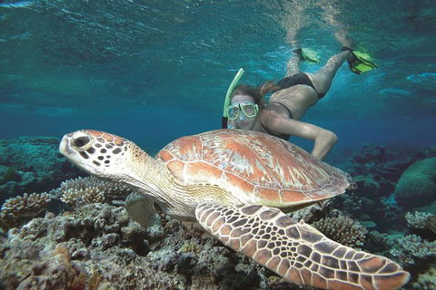 Great Barrier Reef Sailing And Snorkeling Cruise From Port Douglas - Hotel VIC 0