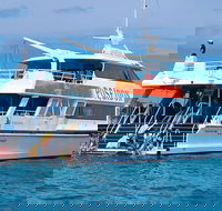 Poseidon Outer Great Barrier Reef Snorkeling and Diving Cruise from Port Douglas - Hotel VIC