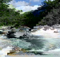 Daintree Rainforest Cape Tribulation Mossman Gorge in a day - Hotel VIC
