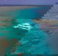 Silversonic Outer Great Barrier Reef Dive and Snorkel Cruise from Port Douglas - Hotel VIC