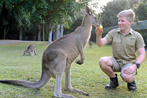 Small-Group Australia Zoo Day Trip From Brisbane - Hotel VIC 6