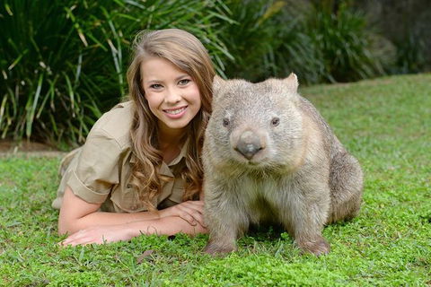 Small-Group Australia Zoo Day Trip From Brisbane - Hotel VIC 5