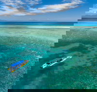 Ocean Safari Great Barrier Reef Experience in Cape Tribulation - Hotel VIC