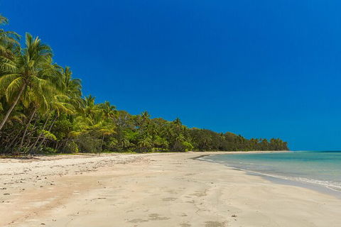 Ocean Safari Great Barrier Reef Experience In Cape Tribulation - Hotel VIC 3