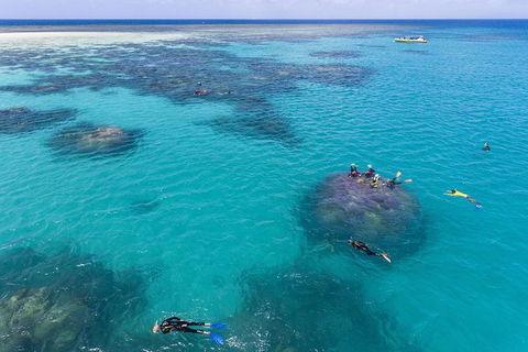 Ocean Safari Great Barrier Reef Experience In Cape Tribulation - Hotel VIC 12
