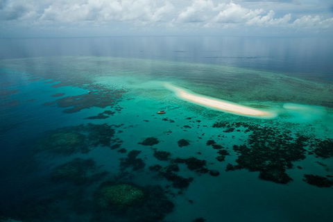 Ocean Safari Great Barrier Reef Experience In Cape Tribulation - Hotel VIC 16