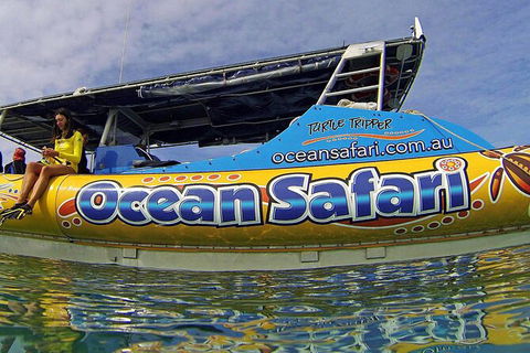 Ocean Safari Great Barrier Reef Experience In Cape Tribulation - Hotel VIC 8
