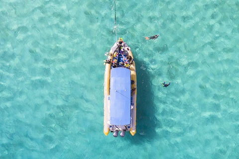 Ocean Safari Great Barrier Reef Experience In Cape Tribulation - Hotel VIC 17