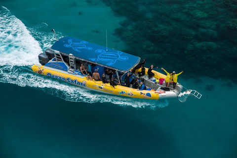 Ocean Safari Great Barrier Reef Experience In Cape Tribulation - Hotel VIC 9