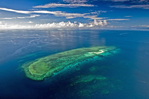 Ocean Safari Great Barrier Reef Experience In Cape Tribulation - Hotel VIC 15