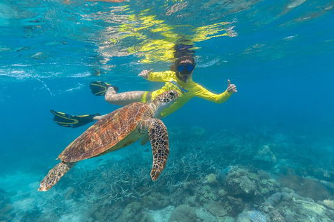 Ocean Safari Great Barrier Reef Experience In Cape Tribulation - Hotel VIC 14