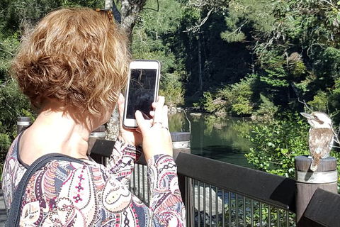 Personalised Private Platypus Land Tour - Hotel VIC 1