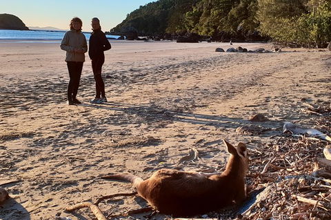 Personalised Private Platypus Land Tour - Hotel VIC 10