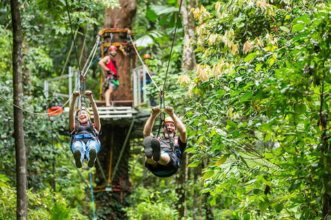 Cape Tribulation Jungle Surfing Canopy Tour - Hotel VIC 1