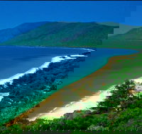 Cairns Reef and Rainforest Combo Daintree Rainforest and the Great Barrier Reef - Hotel VIC