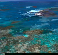 Quicksilver Outer Great Barrier Reef Snorkel Cruise from Port Douglas - Hotel VIC