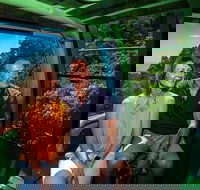 Skyrail Rainforest Cableway Day Trip from Palm Cove