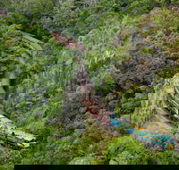 Kuranda Scenic Railway Day Trip from Port Douglas - Hotel VIC