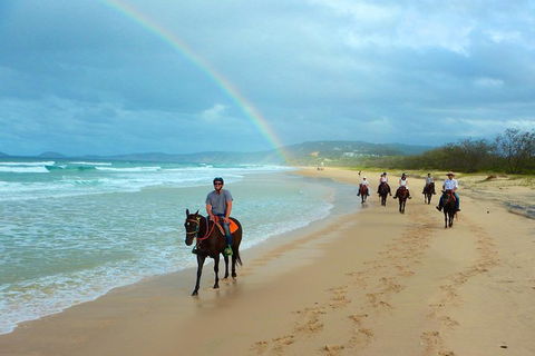 Rainbow Beach Horse Ride - Hotel VIC 1