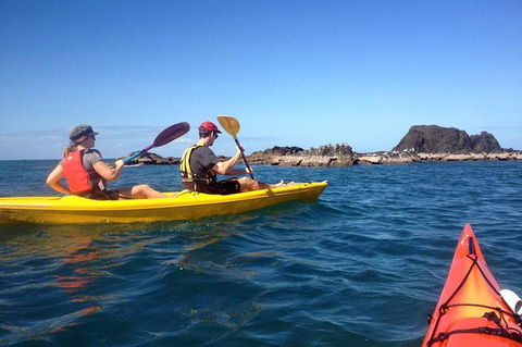 Port Douglas Half-Day Kayak Tour - Hotel VIC 0