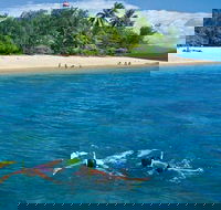 Wavedancer Low Isles Great Barrier Reef Sailing Cruise from Port Douglas - Hotel VIC
