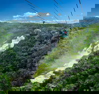 Skyrail Rainforest Cableway Day Trip from Port Douglas - Hotel VIC