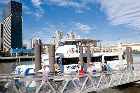 Brisbane Highlights And Lone Pine Cruise From Gold Coast - Hotel VIC 13