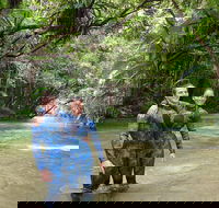 Mossman River Drift Snorkelling from Port Douglas or Mossman - Hotel VIC