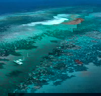 Outer Barrier Reef Sailing and Snorkeling Adventure from Port Douglas - Hotel VIC