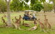 Small-Group Wildlife And Rainforest Tour From Port Douglas - thumb 0