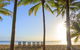 Port Douglas Round-Trip Transfer From Cairns With Free Time In Port Douglas - thumb 1
