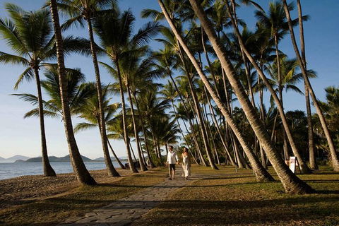 Port Douglas Round-Trip Transfer From Cairns With Free Time In Port Douglas - Hotel VIC 0