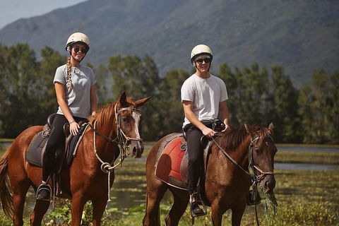 Blazing Saddles Horse Riding - Hotel VIC 6