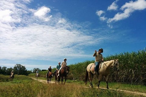 Blazing Saddles Horse Riding - Hotel VIC 4