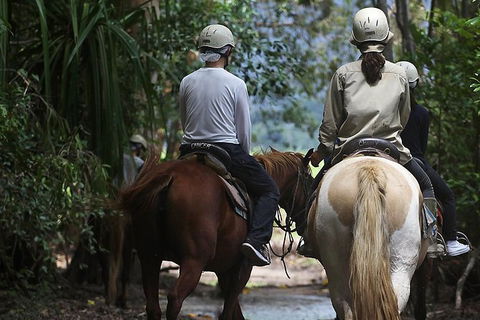 Blazing Saddles Horse Riding - Hotel VIC 2