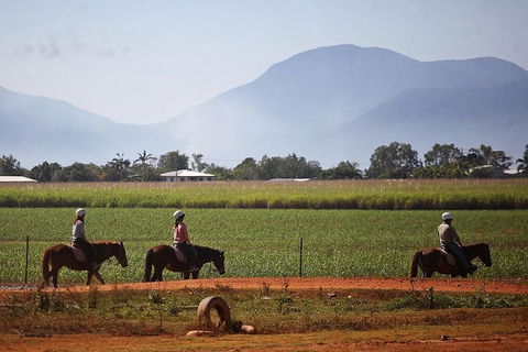 Blazing Saddles Horse Riding - Hotel VIC 7