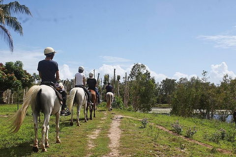 Blazing Saddles Horse Riding - Hotel VIC 3