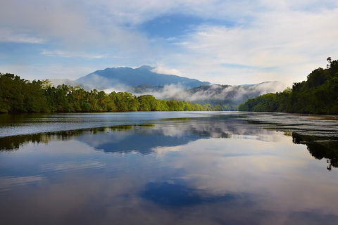 Daintree River Dawn Cruise - Hotel VIC 5